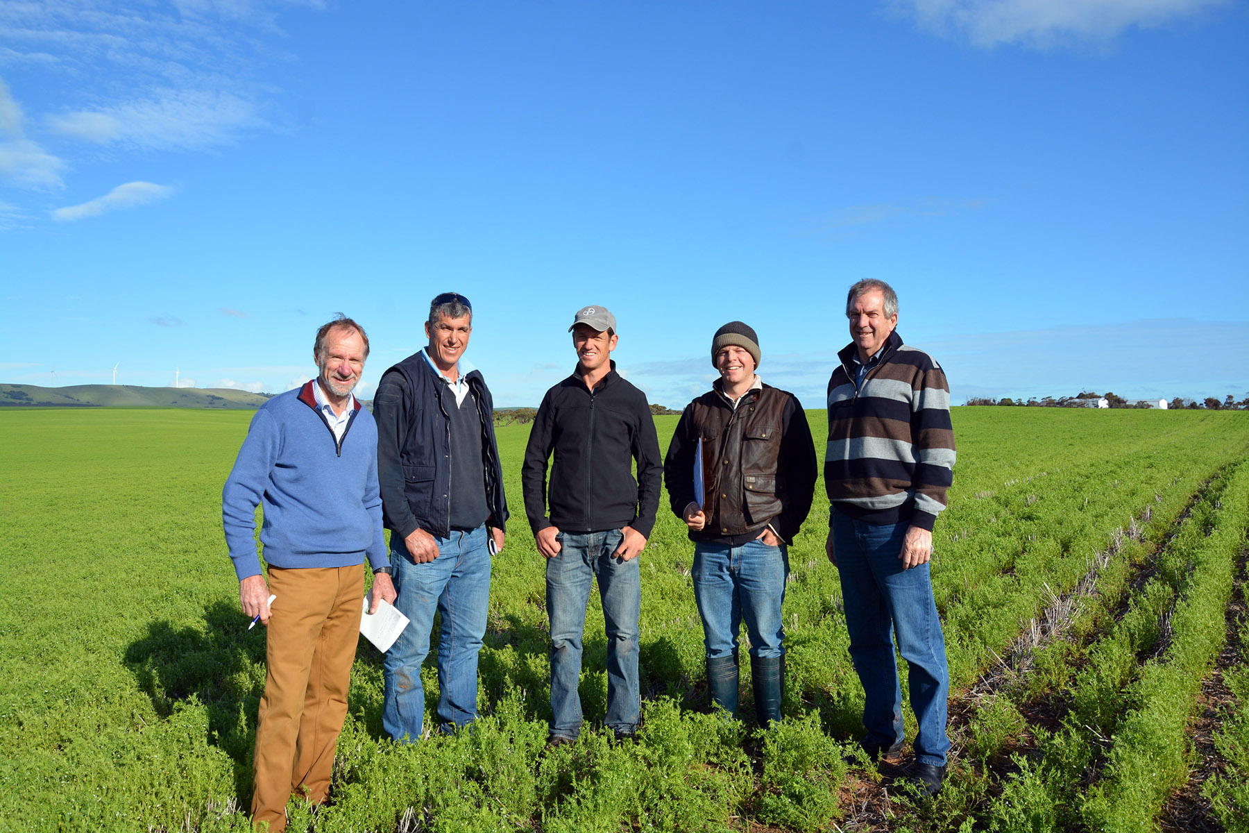 Increasing lentil productivity on dune and swale soils (TC116)