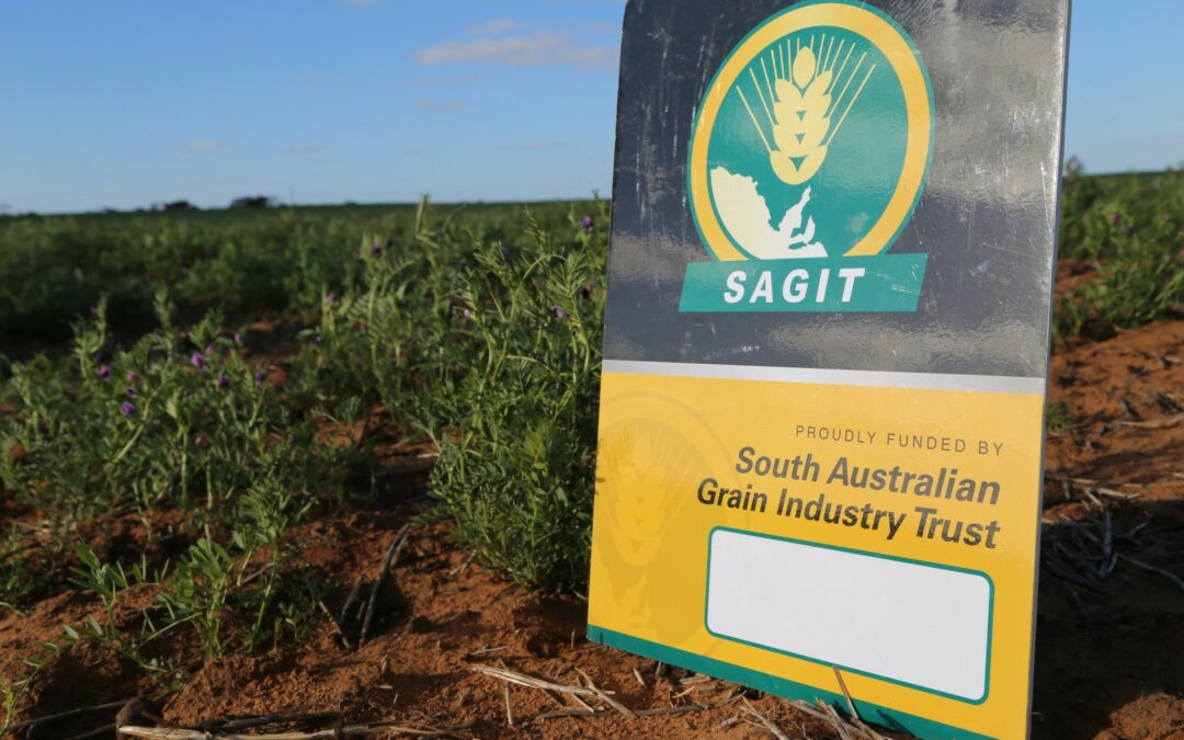 SAGIT announces $2.45m in new funding for grain research