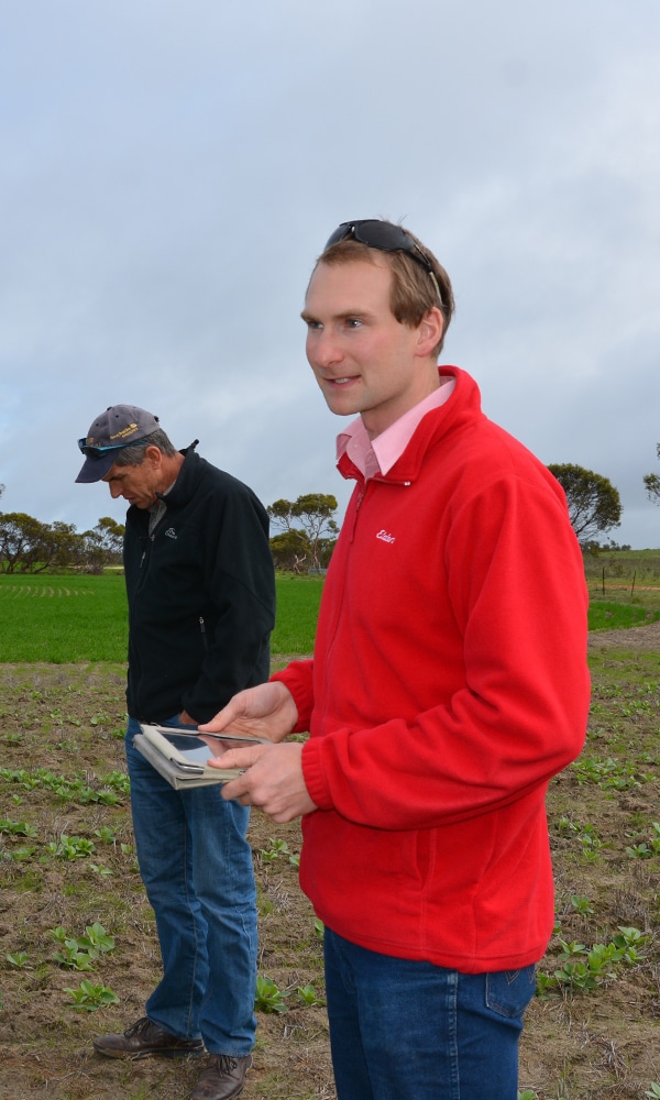 High Rainfall Zone Canola Variable Rate Nitrogen (VRN) Project  (ELD118)