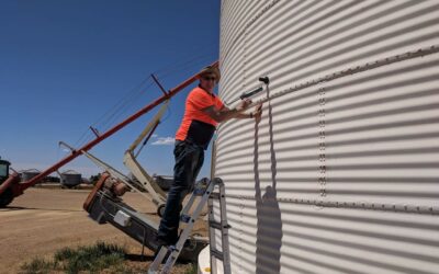 Strategies to enhance the value of On-Farm grain storage in South Australia (USA219T)