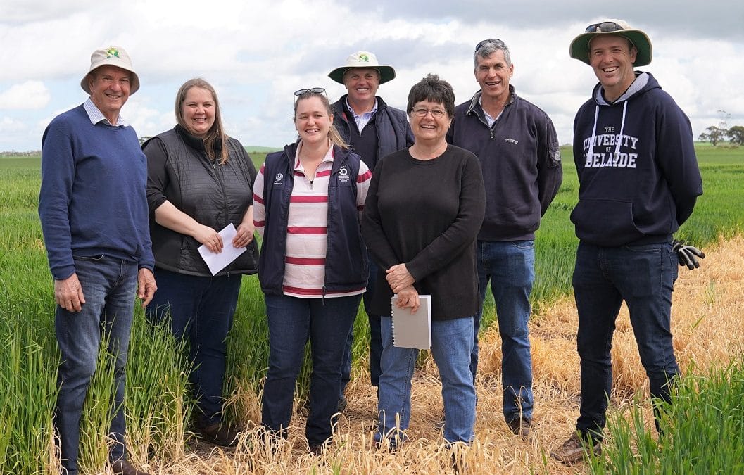 New research funding opportunities to benefit SA growers