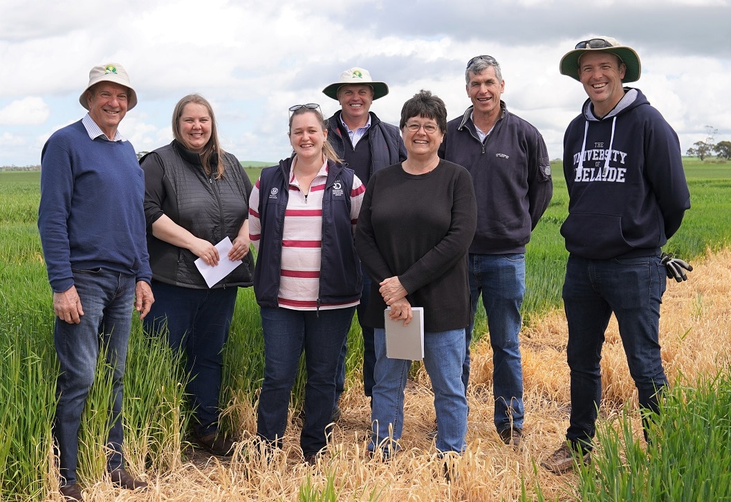 New research funding opportunities to benefit SA growers
