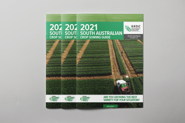 2021 Sowing Guide