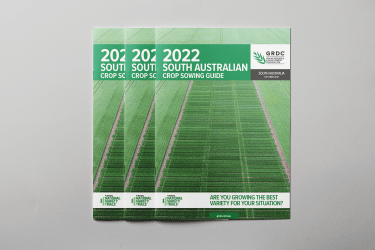 2022 Sowing Guide