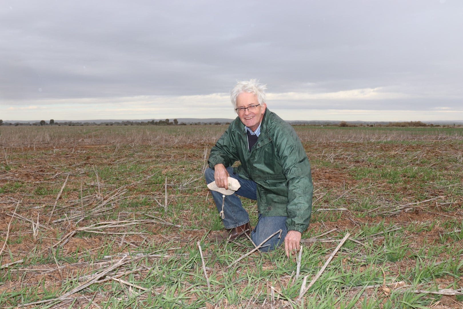 Field testing of sodicity- and salinity-tolerant oat varieties (UA617)