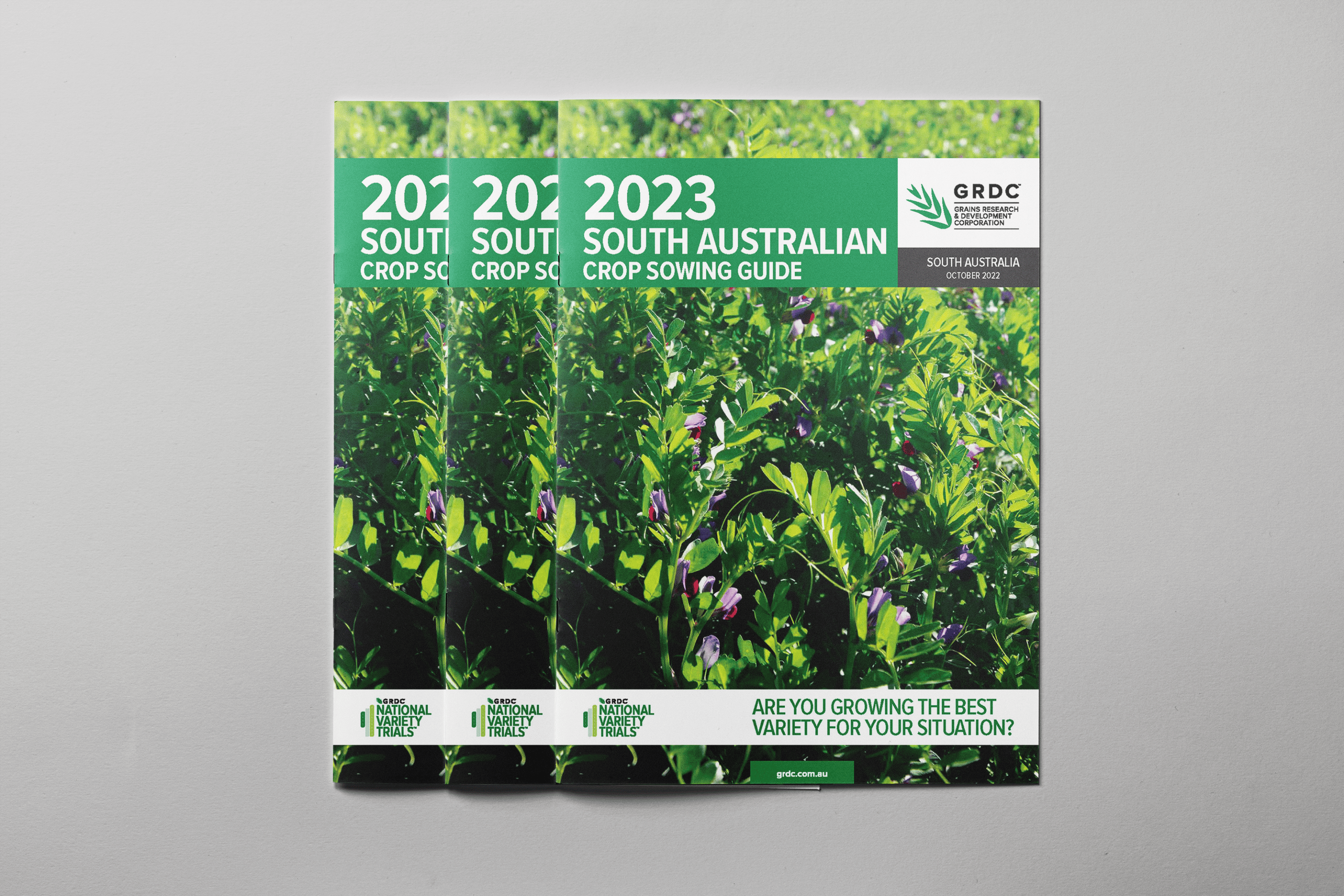 2023 Sowing Guide