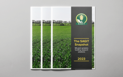 2023 SAGIT Snapshot booklet