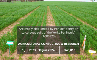 Are crop yields limited by iron deficiency on calcareous soils of the Yorke Peninsula? (ACR3923)