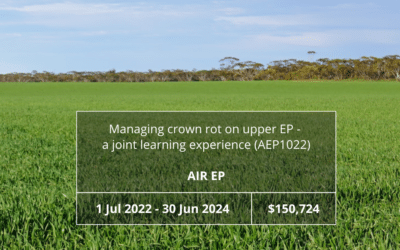 Managing crown rot on upper EP – a joint learning experience (AEP1022)