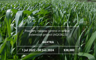 Powdery mildew control in wheat –extension project (AGX3623)