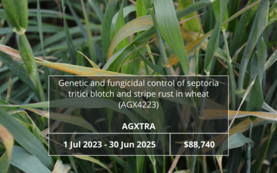Genetic and fungicidal control of Septoria tritici blotch and stripe rust in wheat (AGX4223)