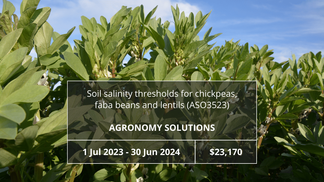 Soil salinity thresholds for chickpeas, faba beans and lentils (ASO3523)