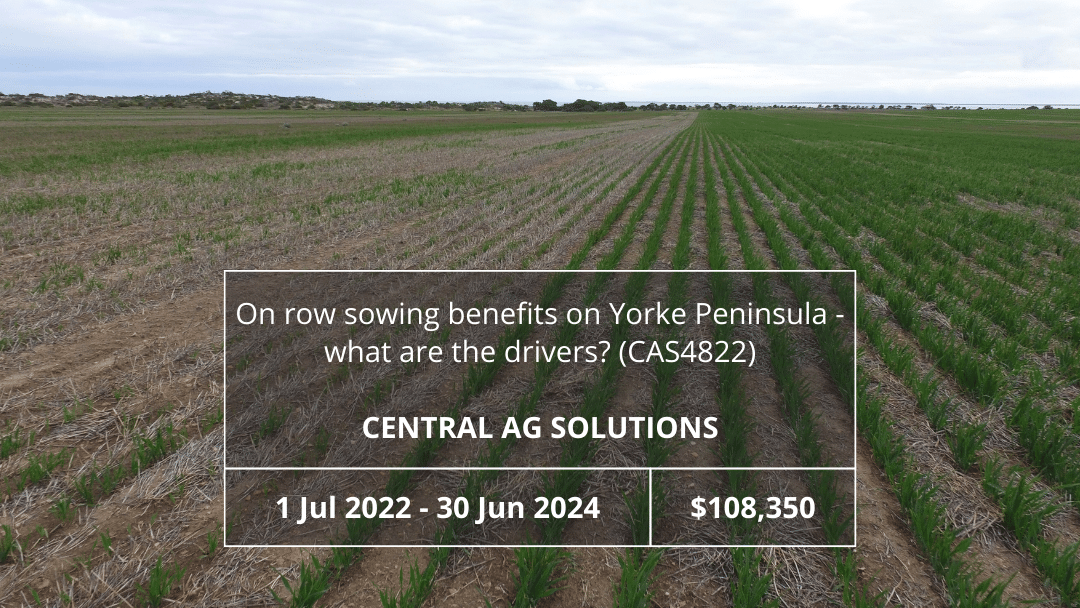 On-row sowing benefits on Yorke Peninsula– what are the drivers? (CAS4822)