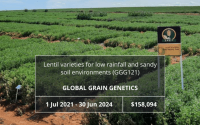 Lentil varieties for low rainfall and sandy soil environments (GGG121)