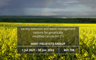 Variety selection and weed management options for genetically modified canola (H121)