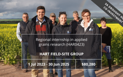 Regional internship in applied grains research (HAR0423)