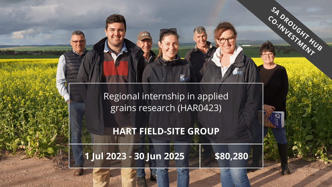 Regional internship in applied grains research (HAR0423)