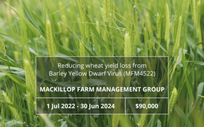 Reducing wheat yield loss from Barley Yellow Dwarf Virus in the HRZ (MFM4522)