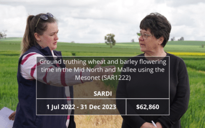 Ground truthing wheat and barley flowering time in the Mid North and Mallee using the Mesonet (SAR1222)