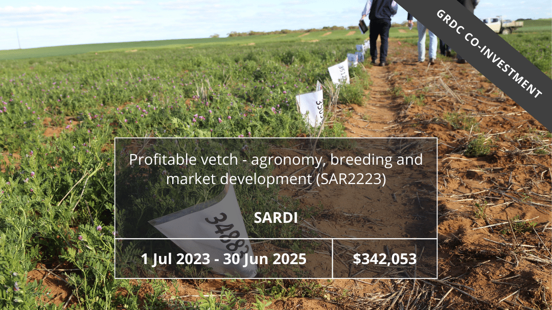 Profitable vetch – agronomy, breeding and market development (SAR2223)
