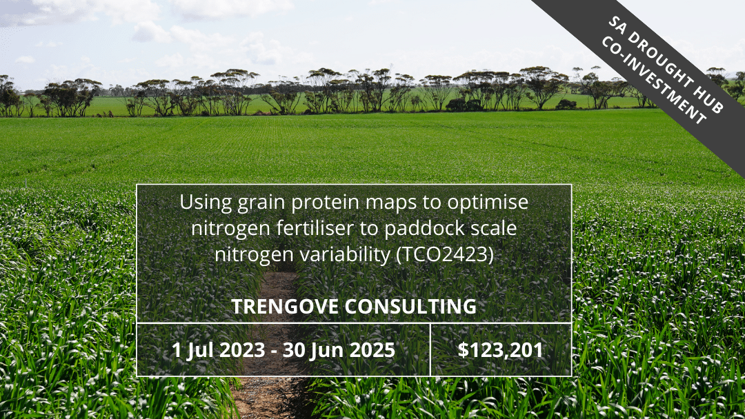 Using grain protein maps to optimise nitrogen fertiliser to paddock scale nitrogen variability (TCO2423)