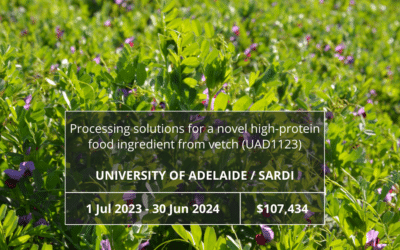 Processing solutions for a novel high-protein food ingredient from vetch (UAD1123)
