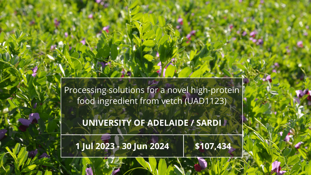 Processing solutions for a novel high-protein food ingredient from vetch (UAD1123)