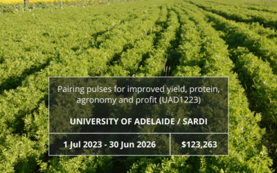 Pairing pulses for improved yield, protein, agronomy and profit (UAD1223)