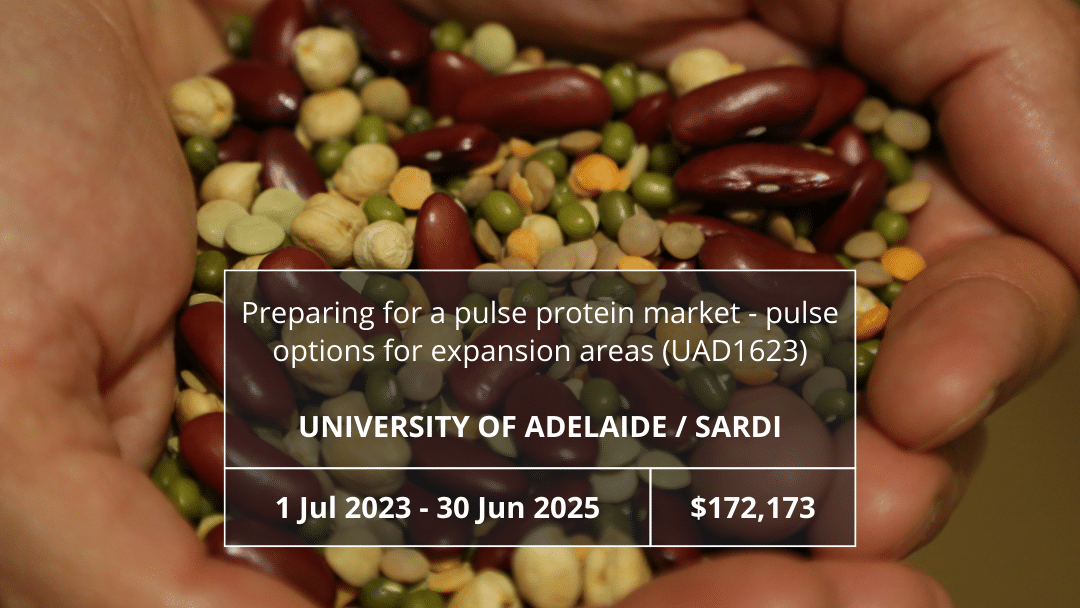 Preparing for a pulse protein market – pulse options for expansion areas (UAD1623)