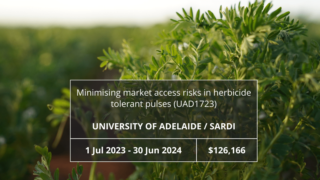 Minimising market access risks in herbicide tolerant pulses (UAD1723)