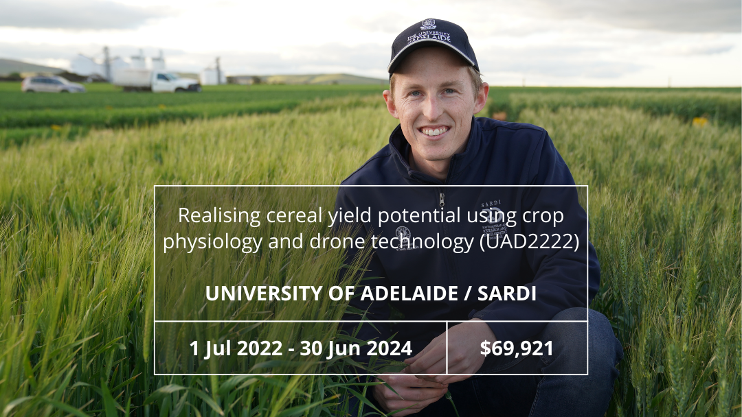 Realising cereal yield potential using crop physiology and drone technology (UAD2222)