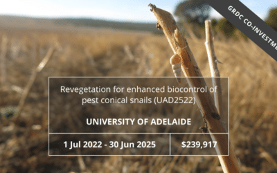 Revegetation for enhanced biocontrol of pest conical snails (UAD2522)