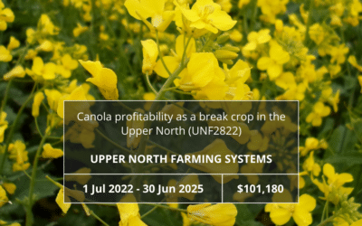 Canola profitability as a break crop in the Upper North (UNF2822)