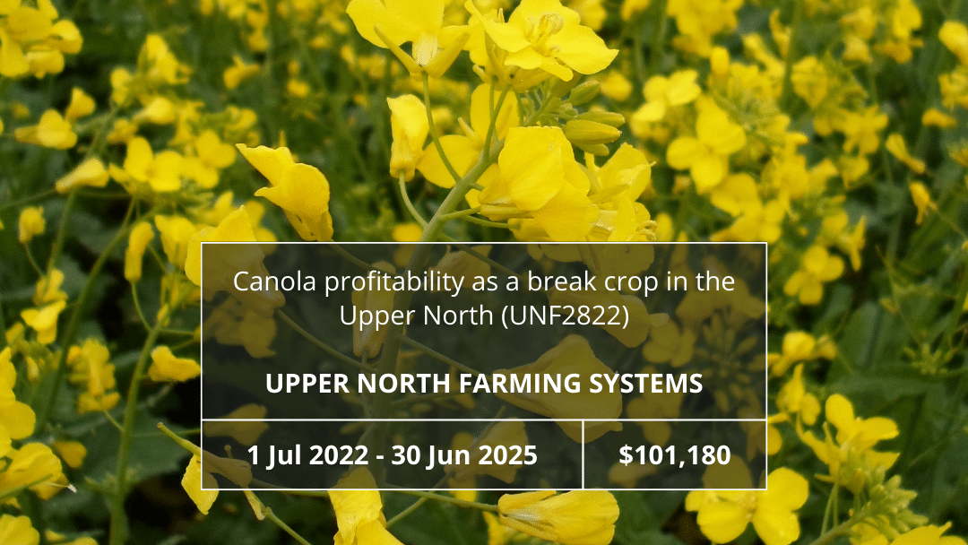 Canola profitability as a break crop in the Upper North (UNF2822)