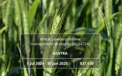 Wheat powdery mildew management strategies (AGX4724)