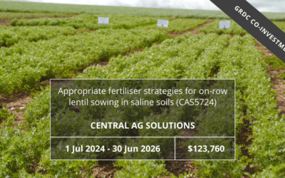 Appropriate fertiliser strategies for on-row lentil sowing in saline soils (CAS5724)