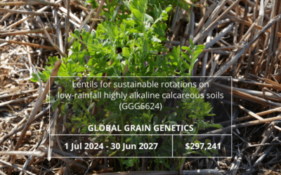 Lentils for sustainable rotations on low-rainfall highly alkaline calcareous soils (GGG6624)