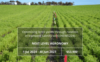 Optimising lentil yields through rotation intransient salinity soils (NEW0224)
