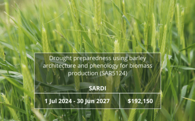 Drought preparedness using barley architecture and phenology for biomass production (SAR5124)