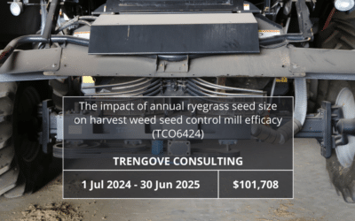 The impact of annual ryegrass seed size on harvest weed seed control mill efficacy (TCO6424)