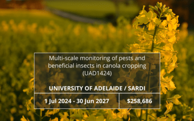Multi-scale monitoring of pests and beneficial insects in canola cropping (UAD1424)