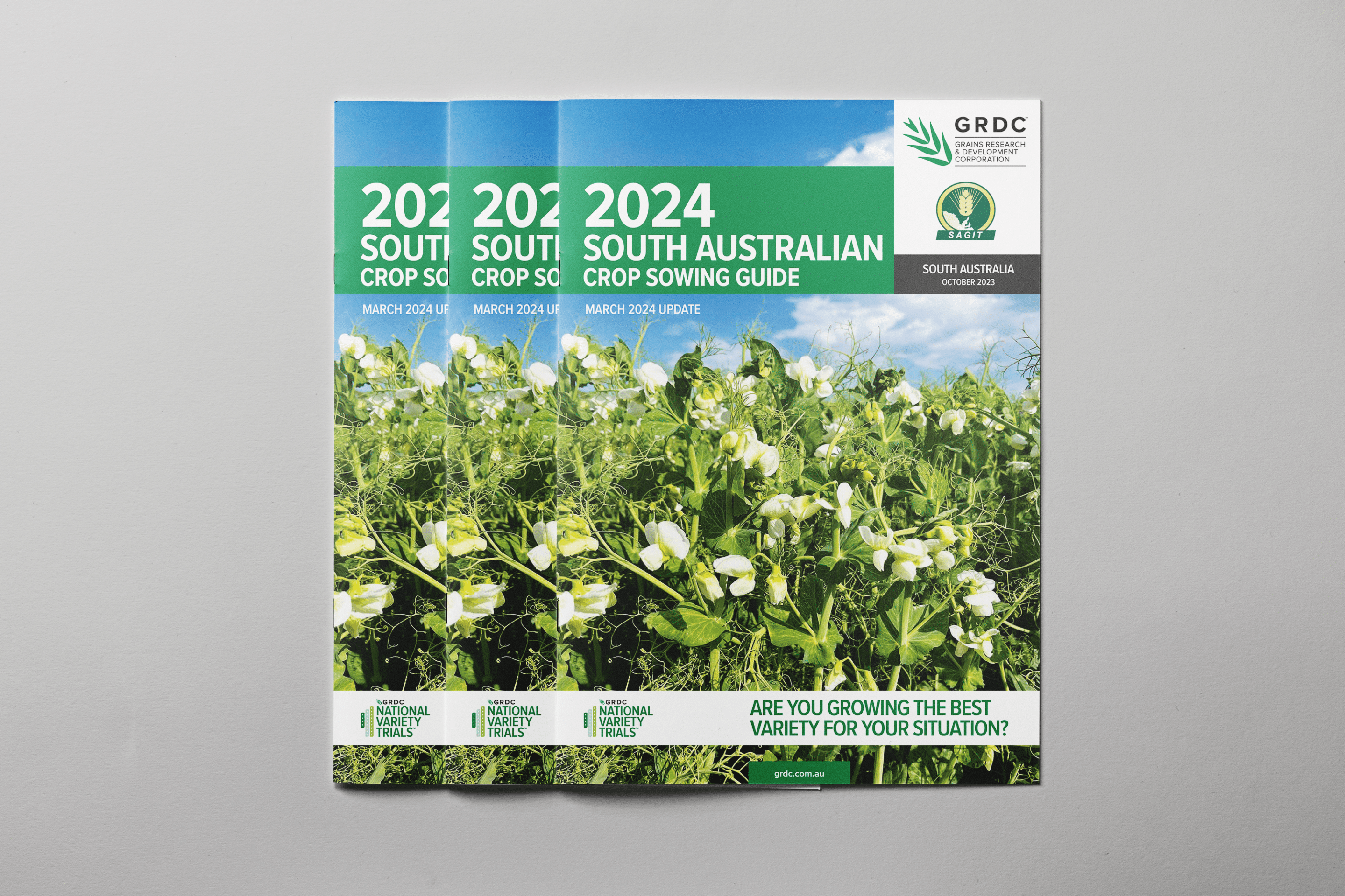 2024 Sowing Guide