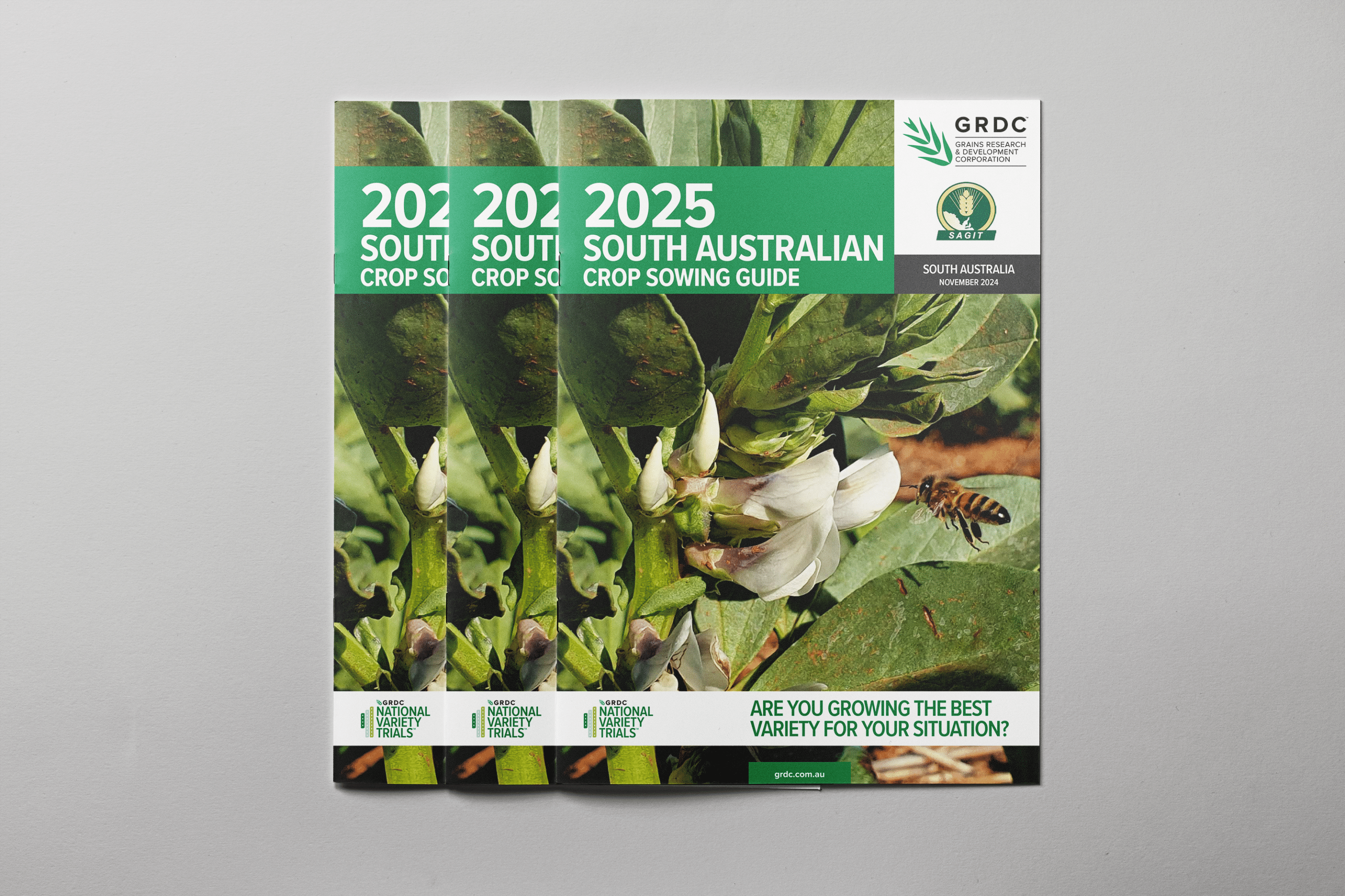 2025 Sowing Guide